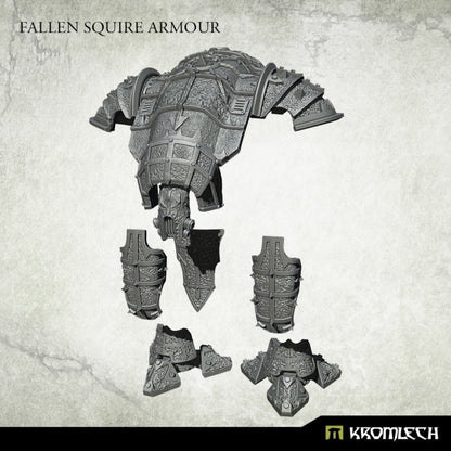 Fallen Squire Armour (KRVB102)