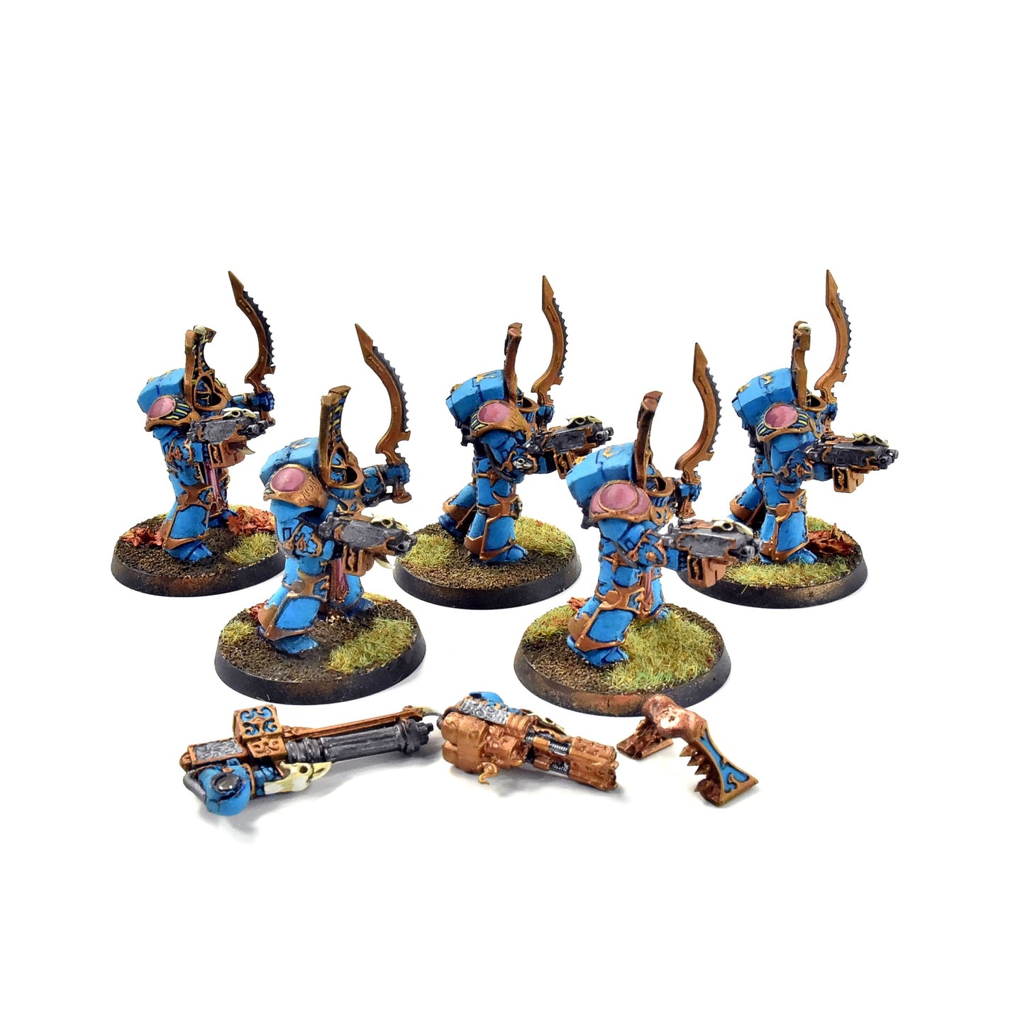 THOUSAND SONS 5 Scarab Occult Terminators #6 PRO PAINTED Warhammer 40K