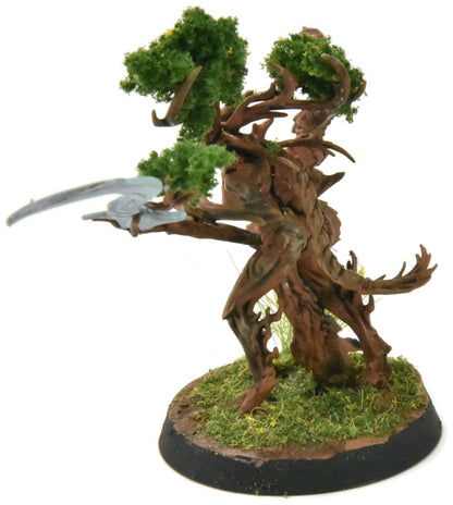 SYLVANETH Branchwych #1 BIEN PEINT Sigmar
