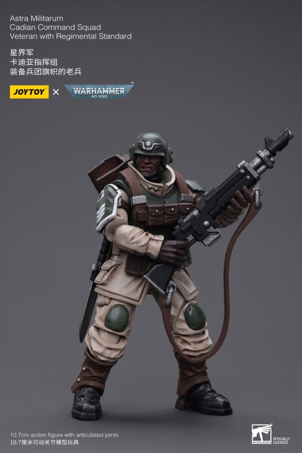 Cadian Command Squad Veteran with Regimental Standard Astra Militarum Joy Toy