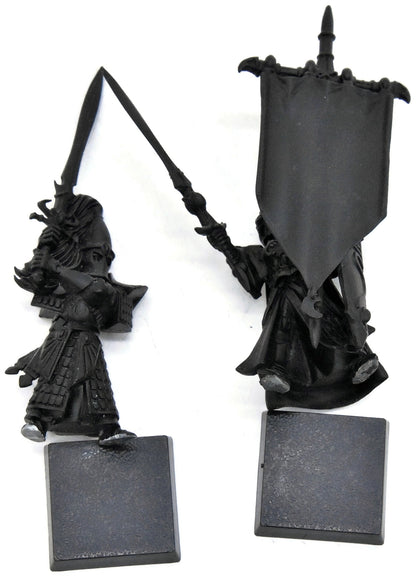 HIGH ELVES Swordmaster Banner & Captain #1 Warhammer Fantasy