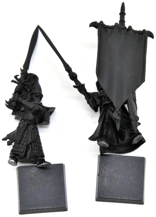 HIGH ELVES Swordmaster Banner & Captain #1 Warhammer Fantasy