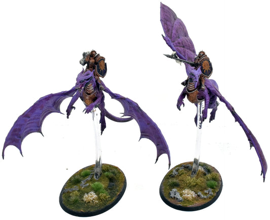 STORMCAST ETERNALS 2 Stormdrake Guards #1 WELL PAINTED Warhammer Sigmar