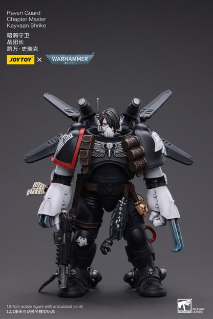 Raven Guard Chapter Master Kayvaan Shrike Joy Toy