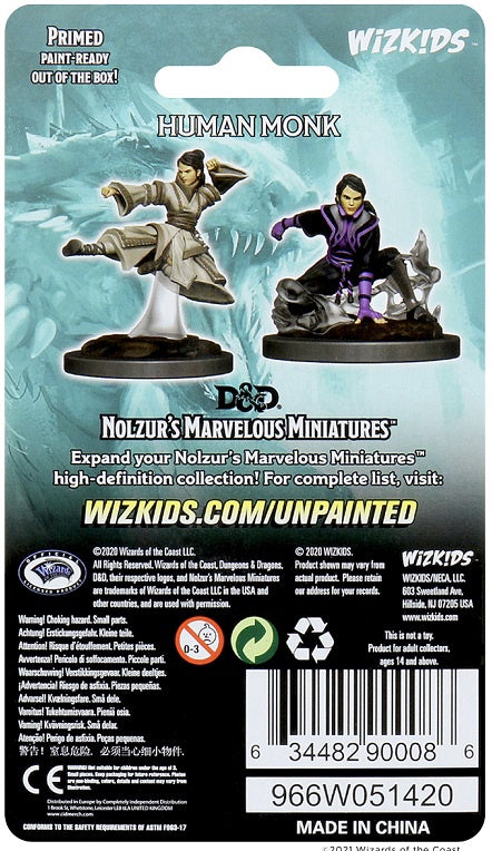 D&D Unpainted Minis Wv11 Female Human Monk