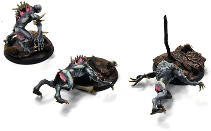 FLESH EATER COURTS 3 Crypt Horrors #2 WELL PAINTED Sigmar