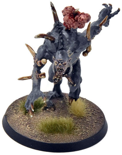 FLESH-EATER COURTS Crypt Horror Courtier #12 PRO PAINTED