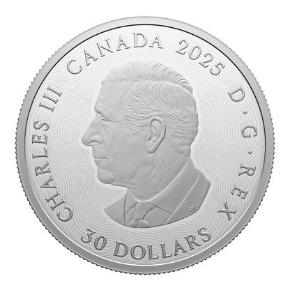 Zodiac Signs - 2 oz. $30 Fine Silver Coin