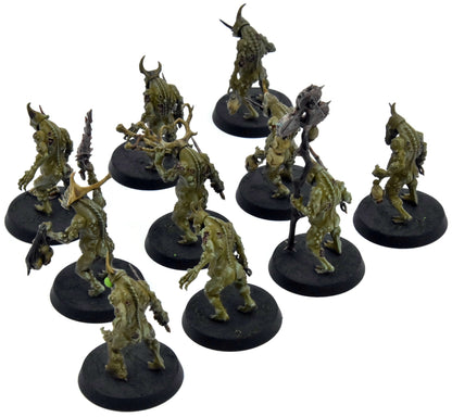 MAGGOTKIN OF NURGLE 10 Plaguebearers #6 WELL PAINTED Warhammer Sigmar