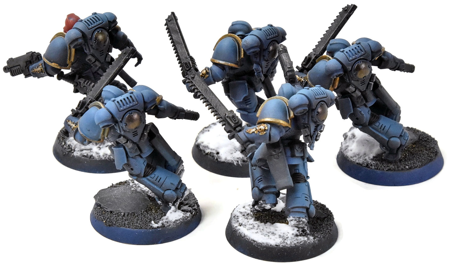 SPACE MARINES 5 Assault Intercessors #1 WELL PAINTED Warhammer 40K 5173