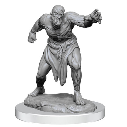 D&d Unpainted Minis Wv17 Flesh Golems
