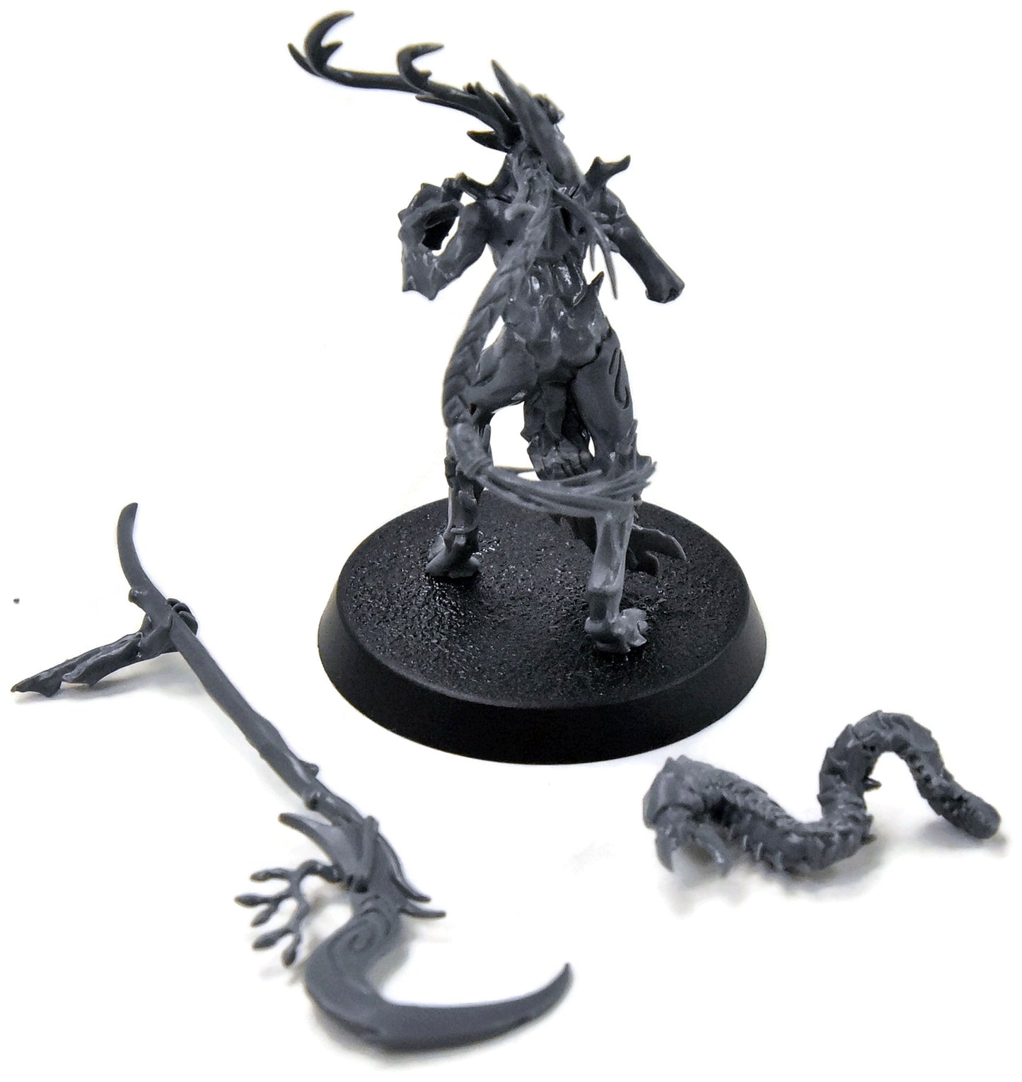 SYLVANETH Branchwych #1 Sigmar 8075