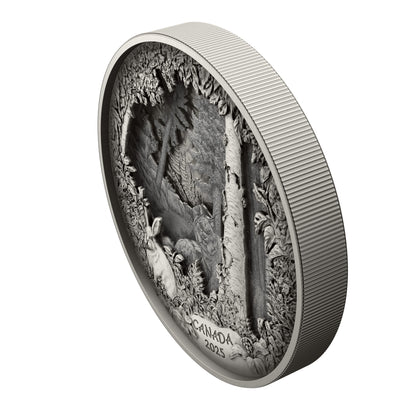 Predator or Prey in Shadow Box – Fine Silver Coin (247976)