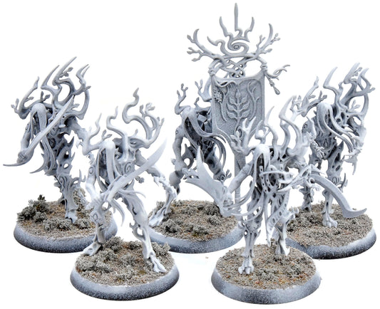 SYLVANETH 5 Tree Revenants #1 Sigmar 1509