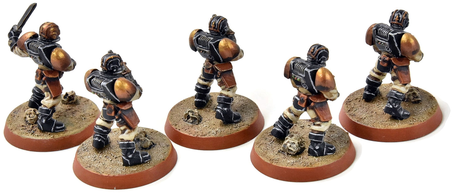 SPACE MARINES 5 Scouts #2 PRO PAINTED Warhammer 40K Alternate heads