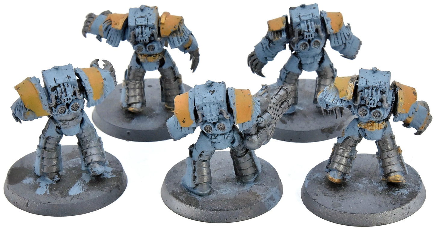SPACE WOLVES 5 Relic Terminator #1 Warhammer 40K