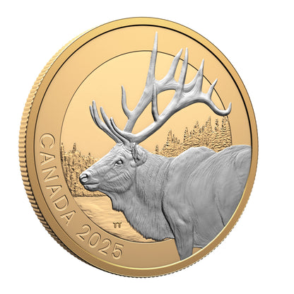 $20 Fine Silver Coin - Animal Portraits: Elk 2025