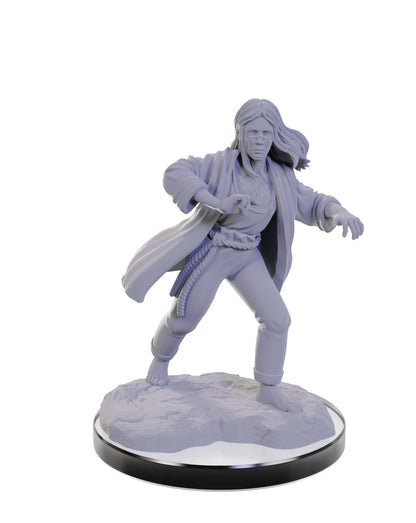 D&D Unpainted Minis Wv22 Reborn Paladin/warlock