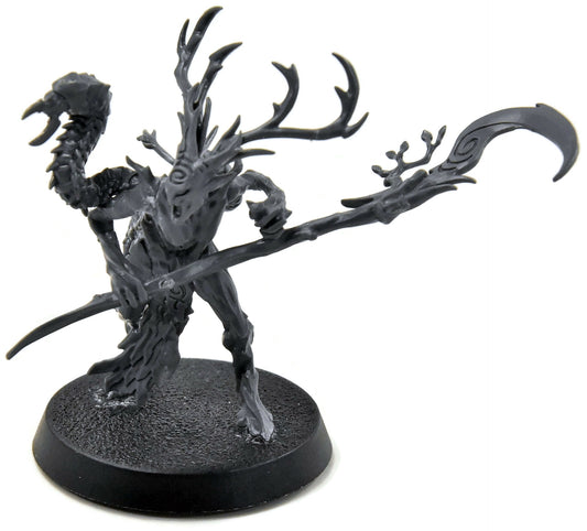 SYLVANETH Branchwych #2 Sigmar