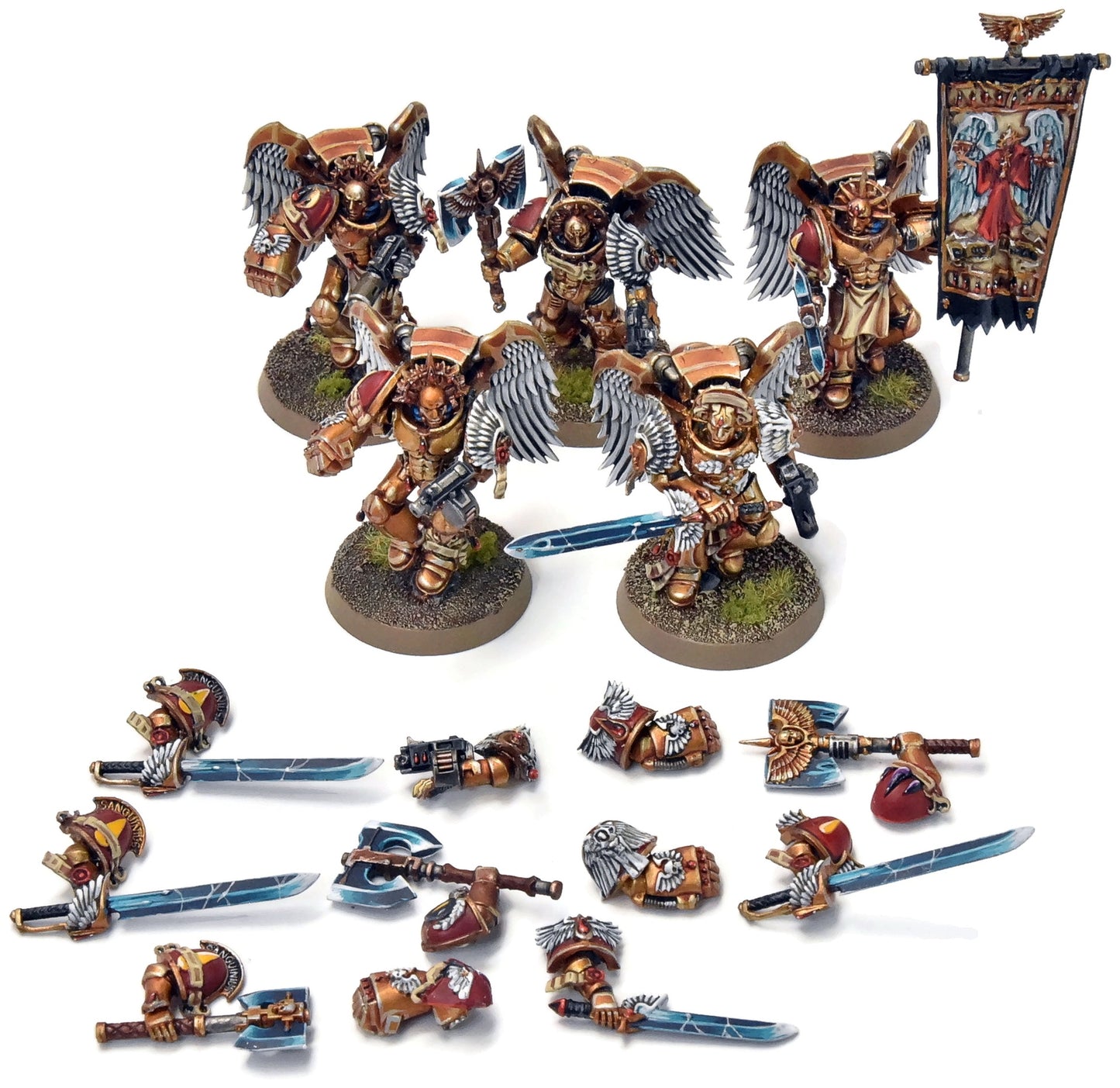 BLOOD ANGELS 5 Sanguinary Guard #1 Warhammer 40K PRO PAINTED