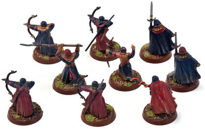 MIDDLE-EARTH 9 Haradrim Warriors #1 LOTR WELL PAINTED