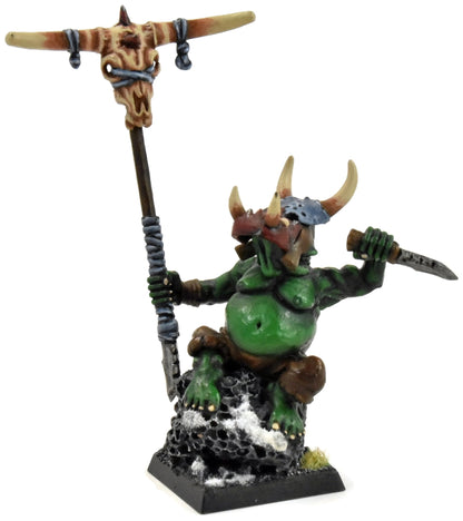 ORCS & GOBLINS Orc Shaman #1 CONVERTED WELL PAINTED Fantasy Warlord