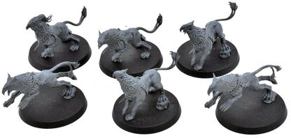 STORMCAST ETERNALS 6 Gryph Hounds #2 Warhammer Sigmar