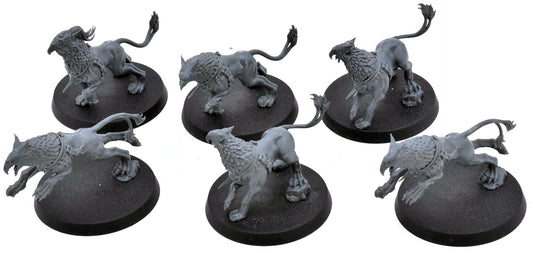STORMCAST ETERNALS 6 Gryph Hounds #2 Warhammer Sigmar