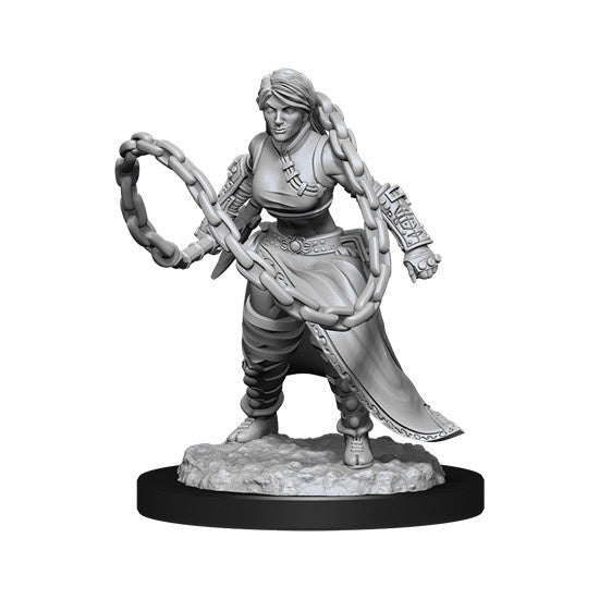 D&D Unpainted Minis Wv14 Human Monk Female