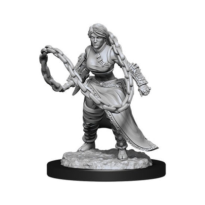 D&D Unpainted Minis Wv14 Human Monk Female