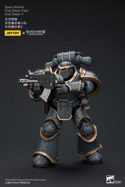 Grey Slayer Pack Grey Slayer3 Space Wolves Joy Toy