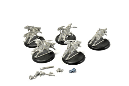 HORDES Circle Orboros 5 Tharn Wolf Riders #1 METAL