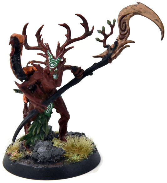 SYLVANETH Branchwych #1 Sigmar WELL PAINTED