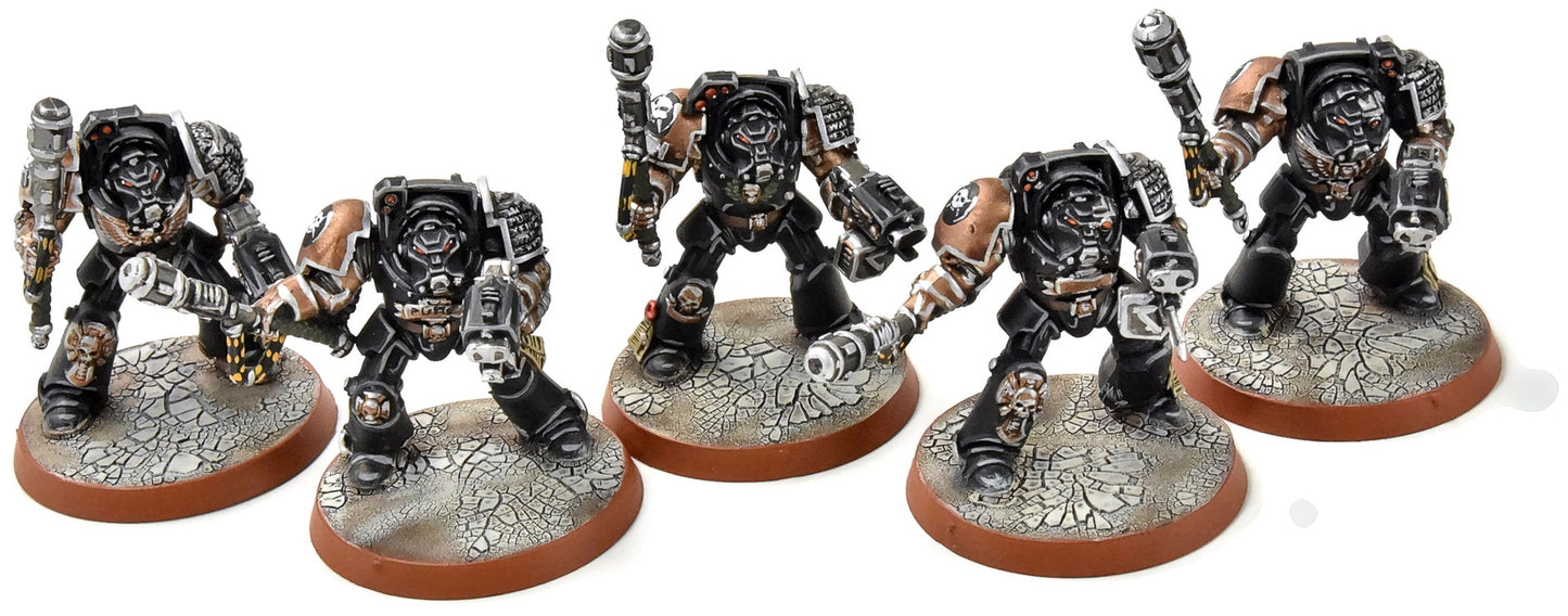 SPACE MARINES 5 Terminators #1 PRO PAINTED Warhammer 40K