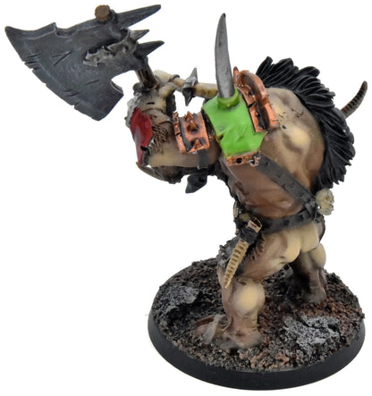 BEASTS OF CHAOS Doombull #1 WELL PAINTED Warhammer 40K
