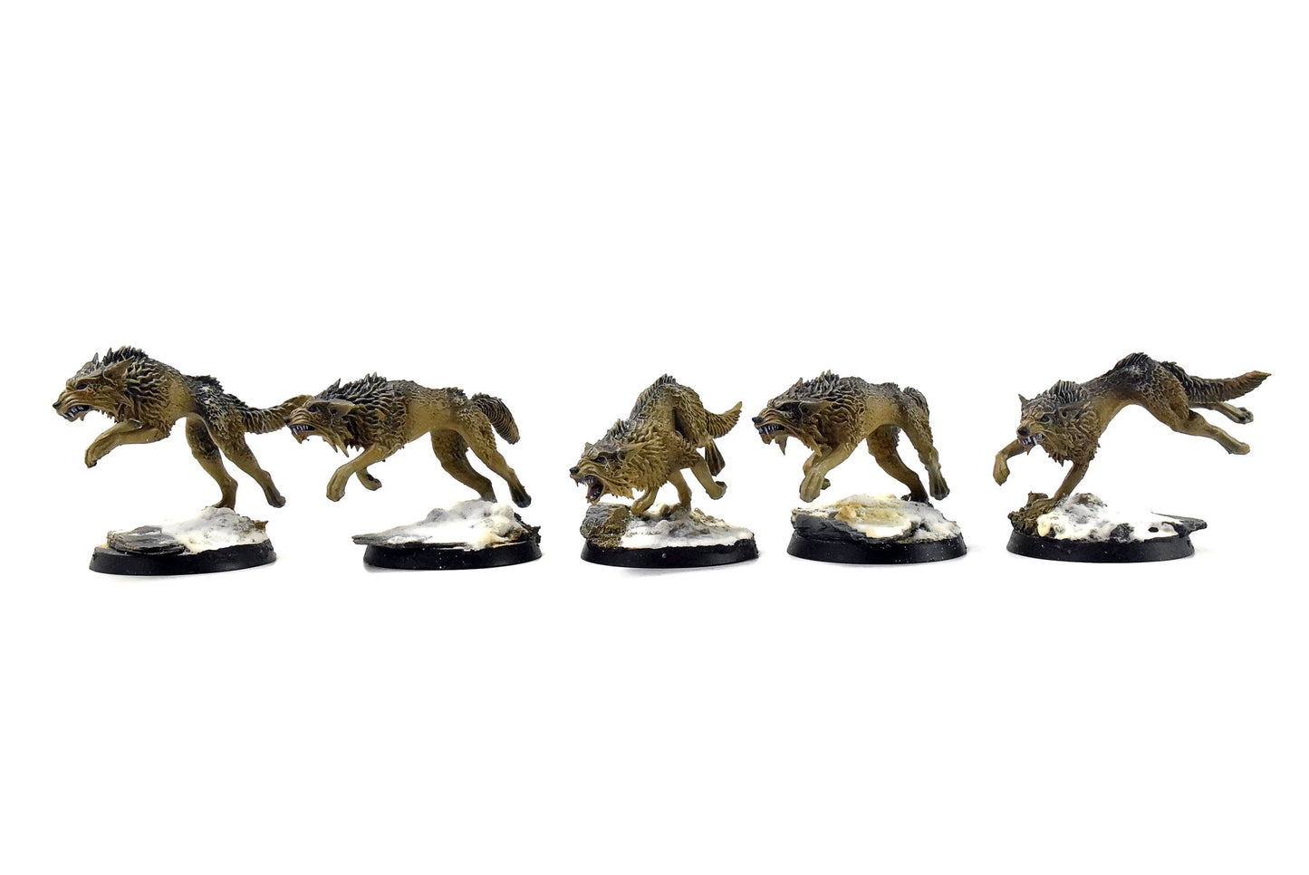 SPACE WOLVES Fenrisian Wolves #2 PRO PAINTED 40k