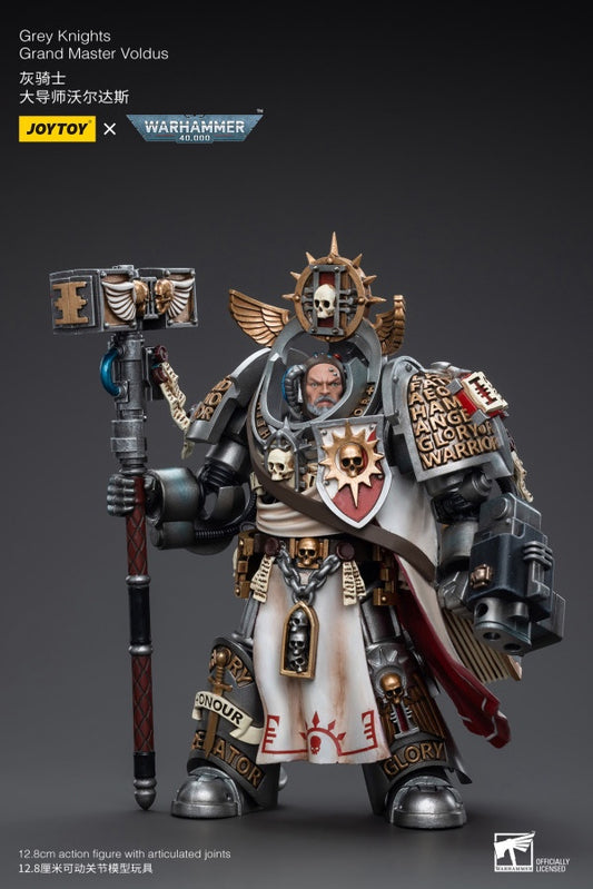 Grand Master Voldus Grey Knights Joy Toy