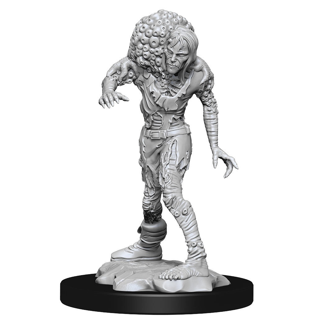 D&D Unpainted Minis Wv14 Drowned Assassin/Asetic