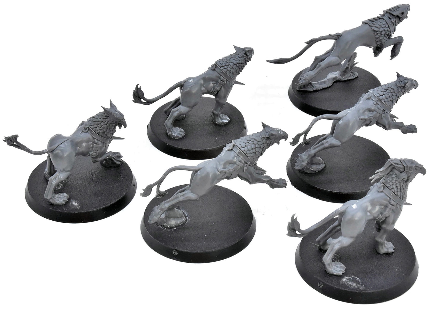 STORMCAST ETERNALS 6 Gryph Hounds #1 Warhammer Sigmar 2817