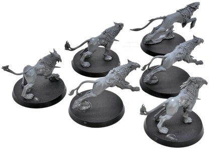 STORMCAST ETERNALS 6 Gryph Hounds #1 Warhammer Sigmar 2817