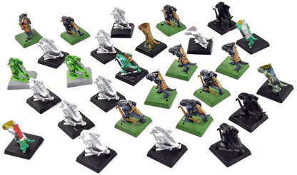 SERAPHON 28 Skink Archers #2 Sigmar