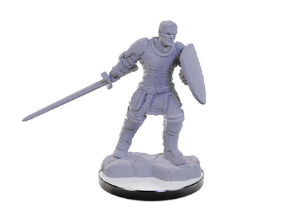 D&D Unpainted Minis Wv22 Reborn Paladin/warlock