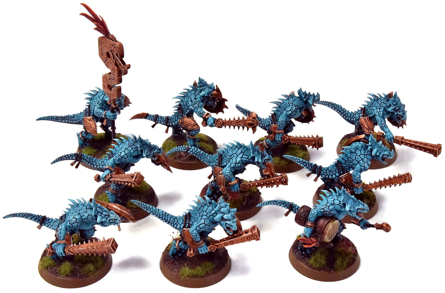SERAPHON 10 Saurus Warriors #1 PRO PAINTED Sigmar