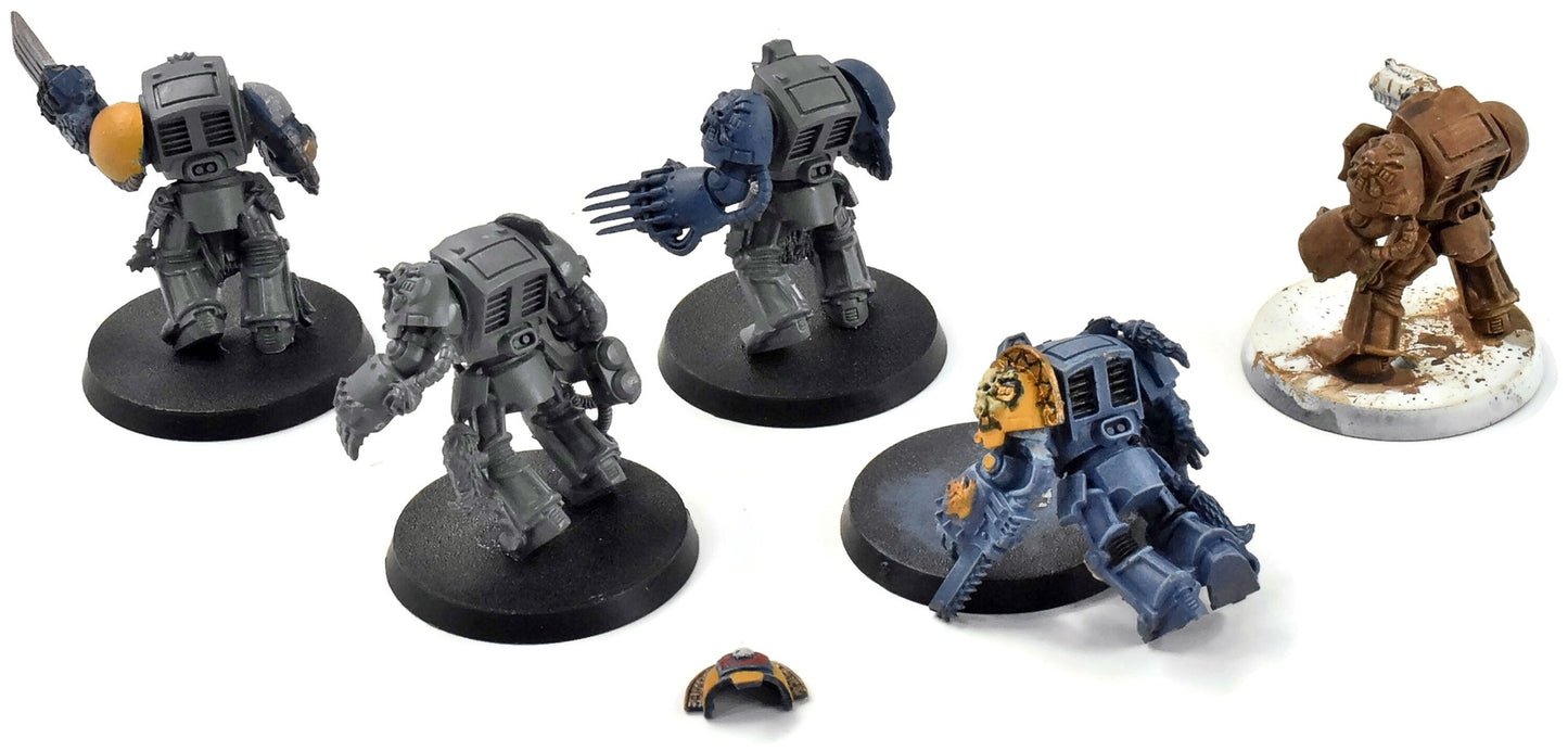 LOUPS DE L'ESPACE 5 Terminators de la Garde Loup #3 Warhammer 40K