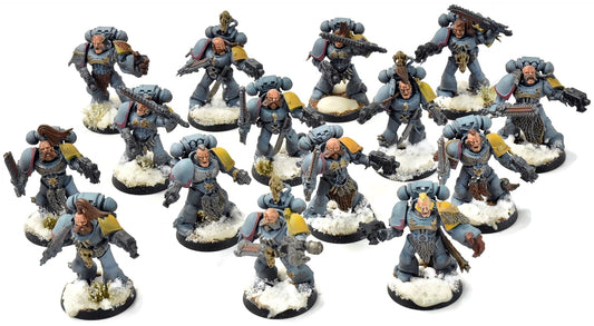 SPACE WOLVES 15 Blood Claws #1 WELL PAINTED Warhammer 40K