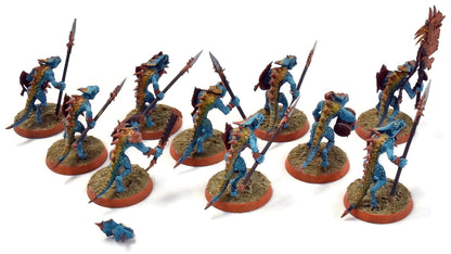 SERAPHON 10 Saurus Warriors #2 WELL PAINTED Sigmar