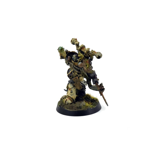 DEATH GUARD Malignant Plaguecaster #1 PRO PAINTED 40K Forge World
