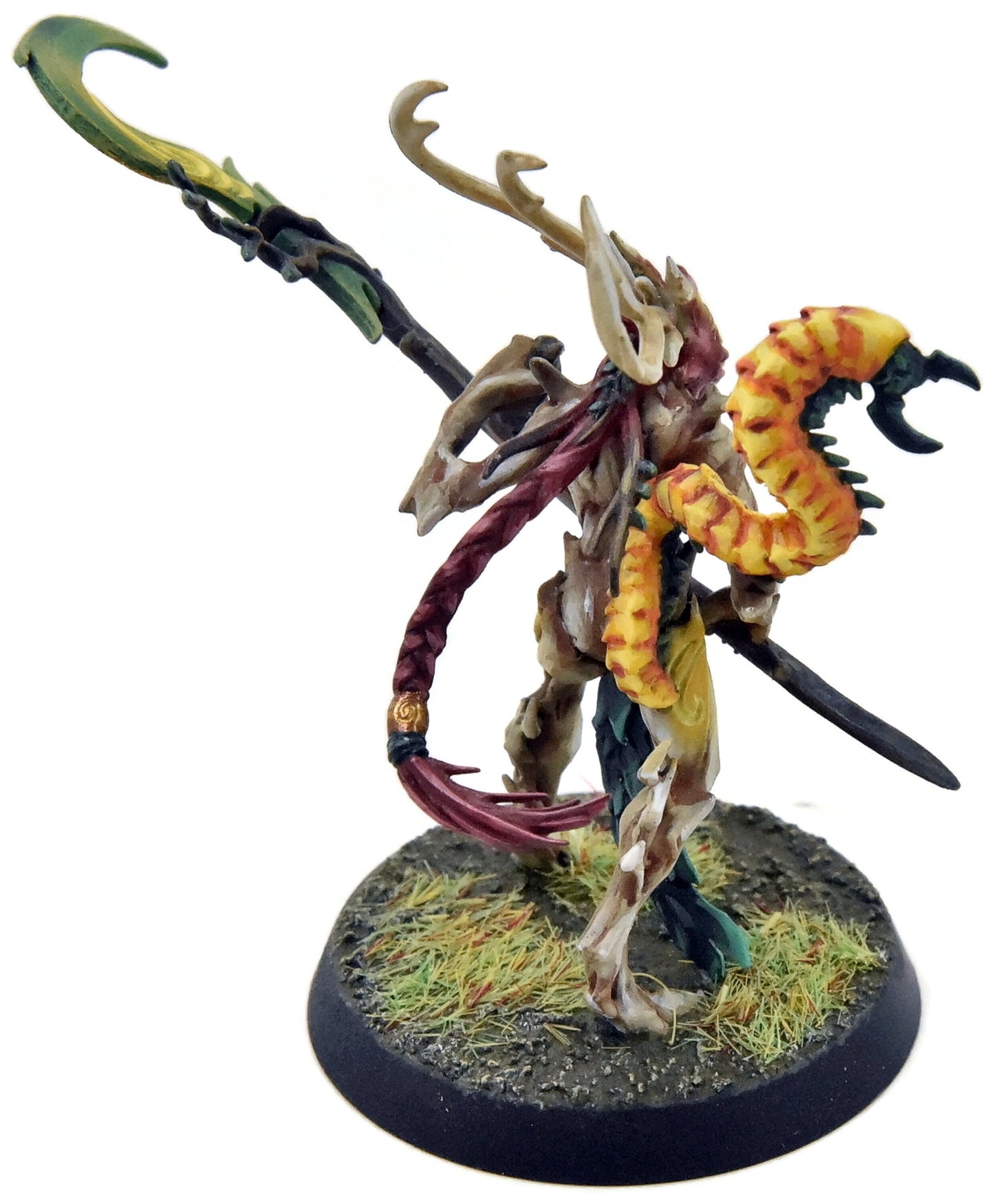 SYLVANETH Branchwych #1 WELL PAINTED Sigmar 2523