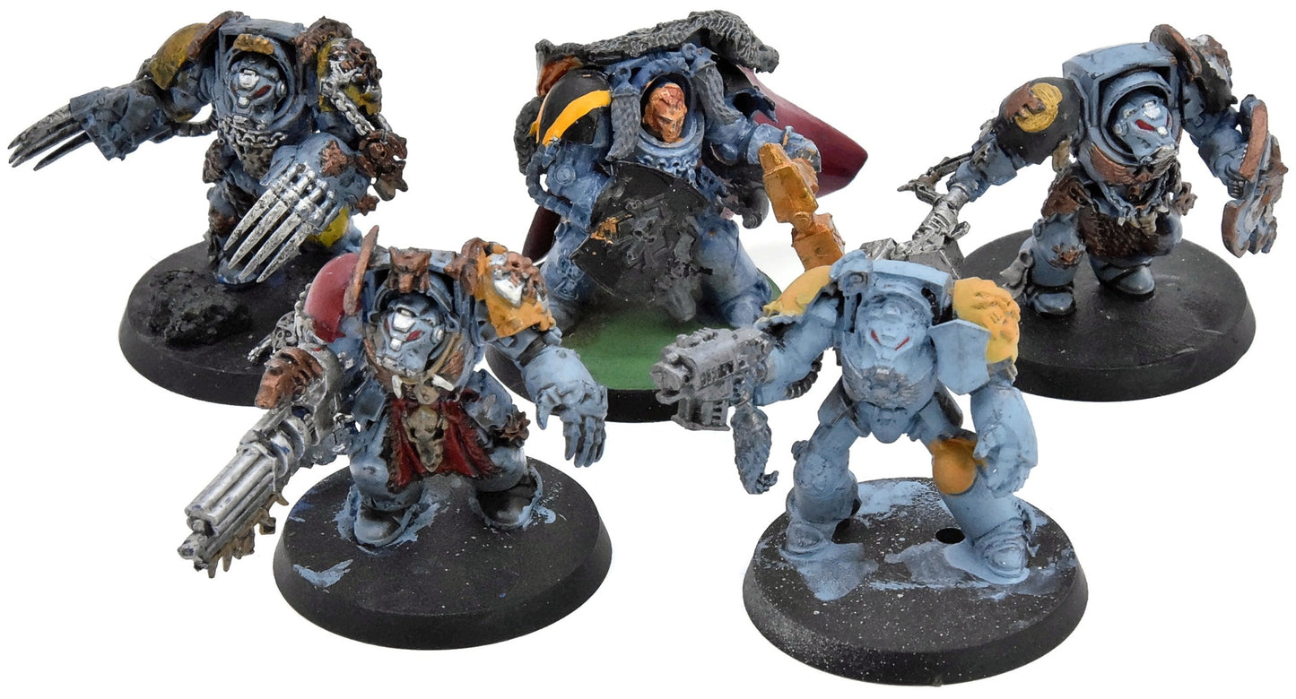 SPACE WOLVES 5 Terminator Wolf Guards #1 Warhammer 40K