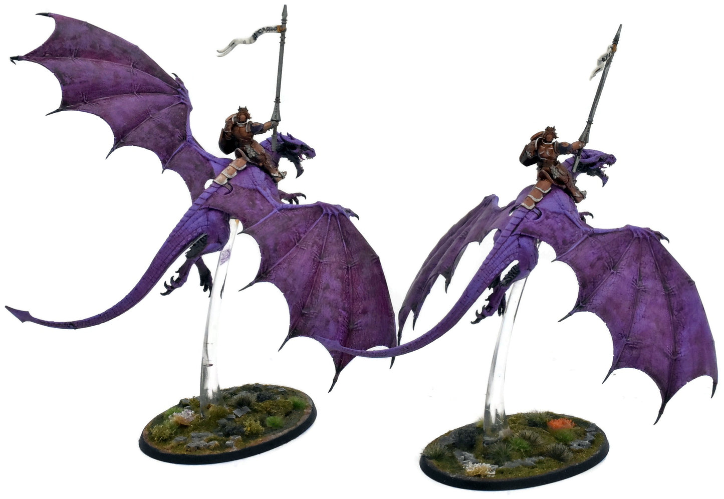 STORMCAST ETERNALS 2 Stormdrake Guards #3 WELL PAINTED Warhammer Sigmar